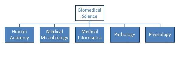 Structure2